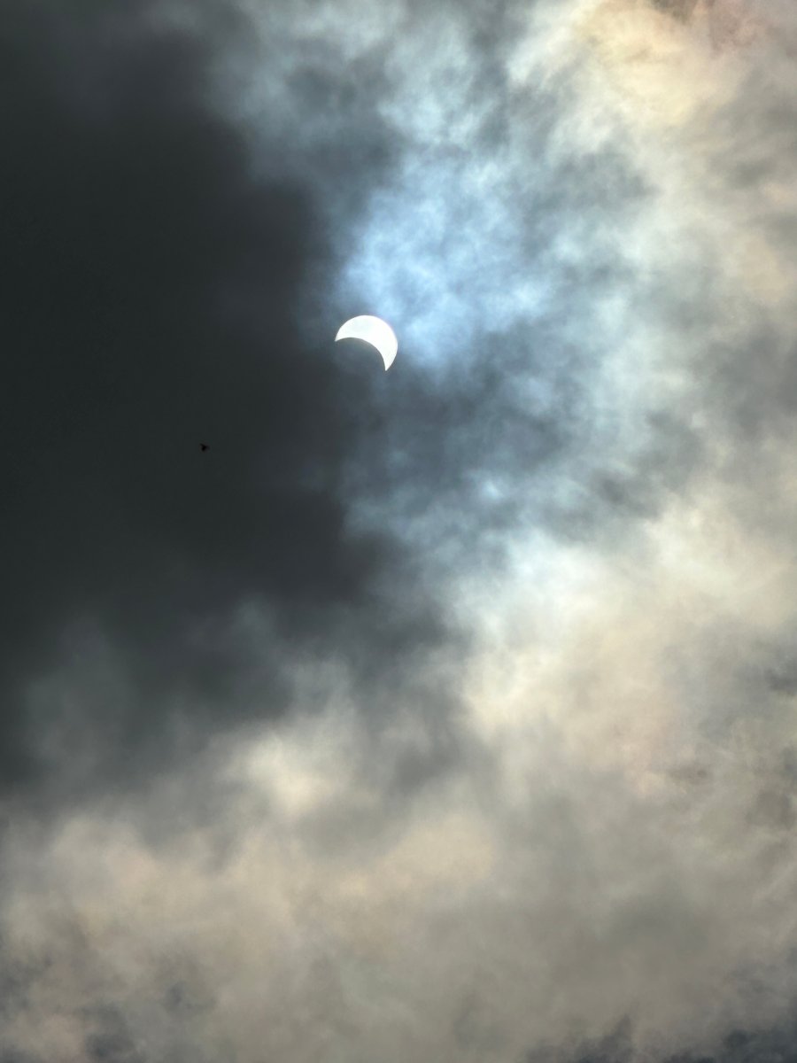 the partial solar eclipse