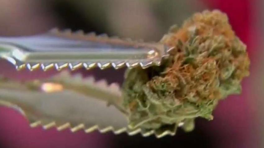 Aprueban_tres_vendedores_de_marihuana_en_Lynwood.jpg