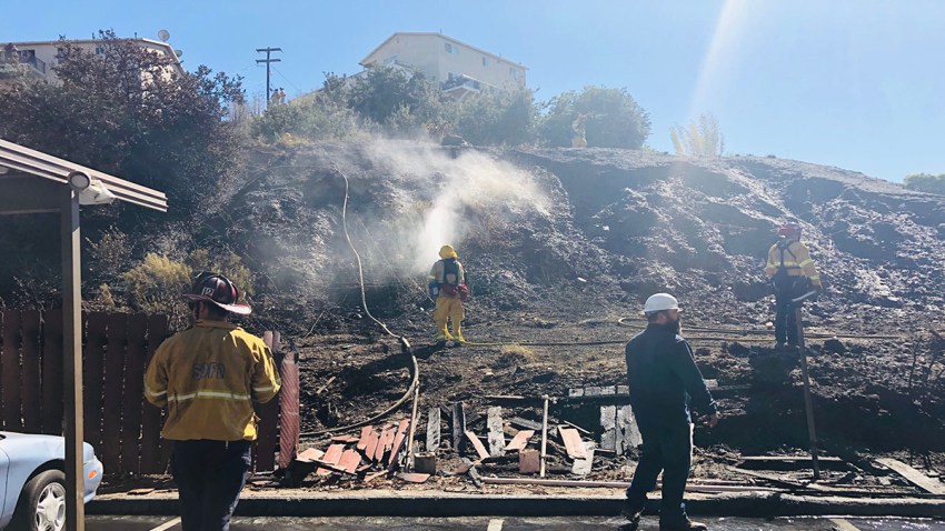 Brush Fire Chollas