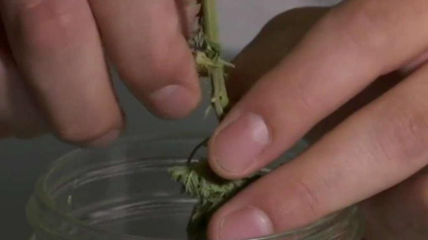 Cannabis_Control_Commission_to_Vote_on_Home_Delivery_Ru