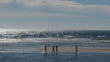 Coast Guard Beach, Cape Cod, Massachusetts