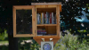 “Mini-bibliotecas” llegarán a comunidades vulnerables