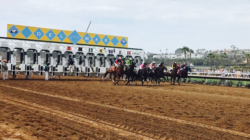 Horses compete at Del Mar's racing track.