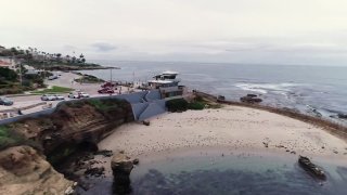 La jolla shores