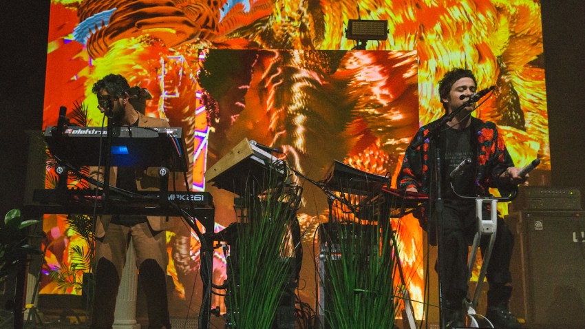 MGMT by Allyson Ta