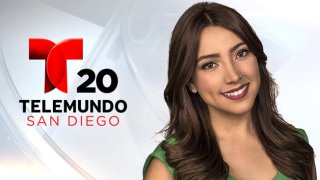 Reportera de Telemundo 20 Melissa Sandoval