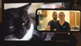 Two people sit together on the screen of a phone positioned in front of a picture of a black and white cat