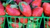 Revisa tus fresas congeladas: vinculan brote de hepatitis A con venta en un Costco de San Diego