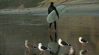 Surfer-Generic-Encinitas