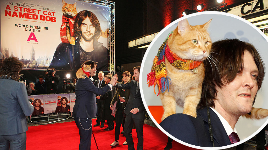 Muere el famoso gato que inspiró el y la película “Un gato callejero llamado Bob” – Telemundo San (20)