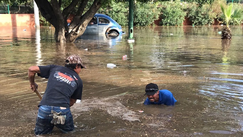 Tromba marina Tecate