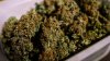 Aumentan dramáticamente los niños enfermos por marihuana en EEUU