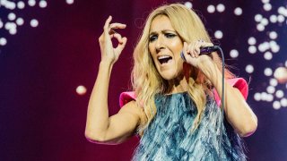 celine dion concerts TLMD TAMPA