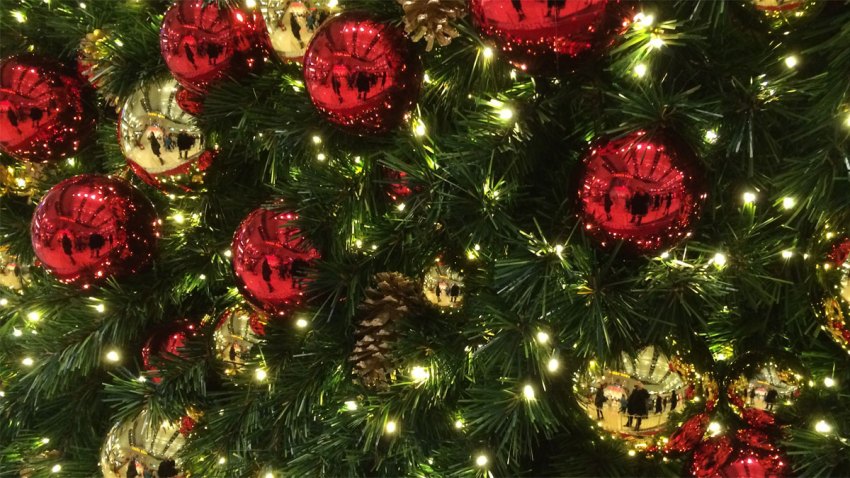 christmas-tree-cu-generic