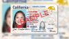 DMV agrega oficinas de Triple A para sacar el Real ID