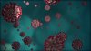 Investigadores de UCSD descubren carbohidratos en los pulmones que COVID-19 usa para infectar