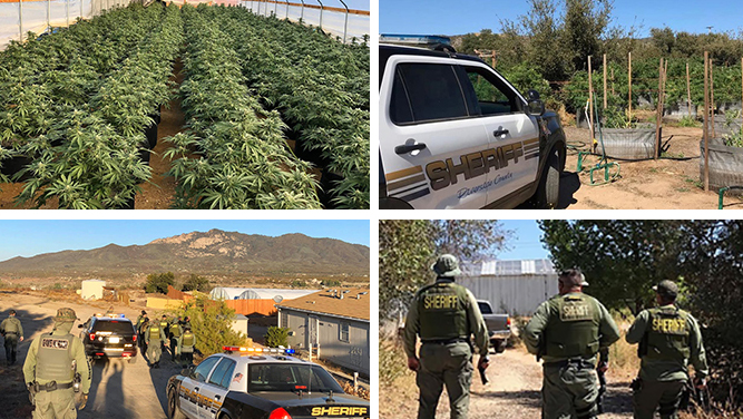 hemet-pot-grow-bust-2019
