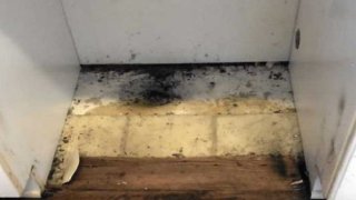 Photo of mold inside military housing