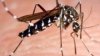 Dron lucha contra “enorme aumento” de mosquitos en el sur de California