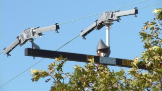 sdge power lines power outage shut offs
