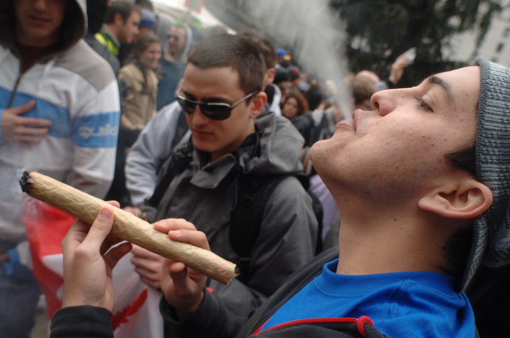 Qué significa 420 y porqué se celebra el 20 de abril Telemundo San Diego (20) Qué significa 420 y porqué se celebra el 20 de abril Telemundo San Diego (20)