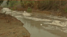 A photo of toxic runoff flowing in the Tijuana River Valley.