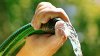 Calor dispara el consumo de agua en Tijuana; CESPT pide un uso responsable