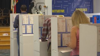 People vote in cardboard booths