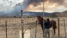 caballo frente a incendio Tecate (1)