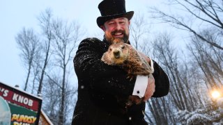 Groundhog Club handler A.J. Dereume holds Punxsutawney Phil