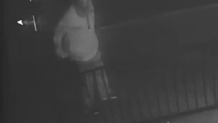 Person of Interest in Hillcrest vandalism