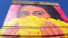 Mural en Barrio Logan de mujer con flores de cempaxúchitl