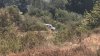 Investigan muerte de dos niños pequeños en un rancho en Rosarito