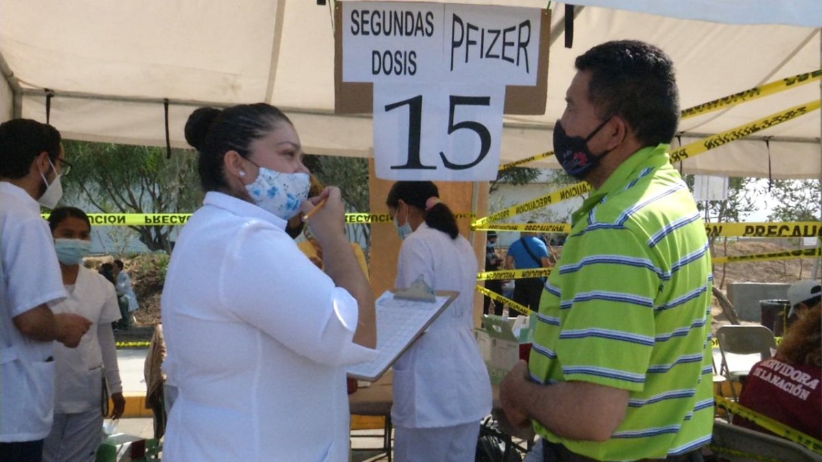 Reinician la aplicación de segundas dosis de Pfizer en Tijuana – Telemundo  San Diego (20)