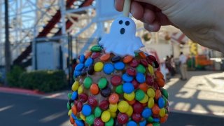 A Halloween-themed caramel apple is held in front of Belmont Park's iconic rollercoaster.