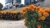 Día de Muertos en México: la capital “se viste” con miles de flores de cempasúchil