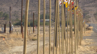 tan bamboo poles along the side of a road