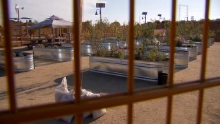 Paradise Creek Educational Park's new community garden.