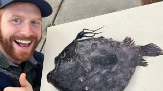 Scripps Institution of Oceanography ichthyologist Ben Frable with a rare specimen of deep-sea anglerfish called a Pacific Footballfish. The specimen was found on Swami's Beach in Encinitas on Friday, Dec. 10, 2021.