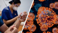 De pandemia a endemia: examinan nueva estrategia para combatir al coronavirus
