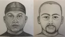 Sketches of suspects in separate child annoyance investigations from From February in Spring Valley.