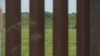 “Los Olvidados”: Deportados en la frontera pasan desapercibidos ante flujos migratorios
