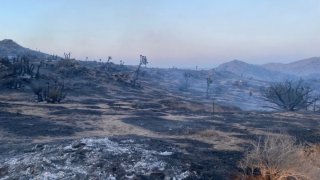 This photo shows the burn area from the Elk Fire in Yucca Valley.