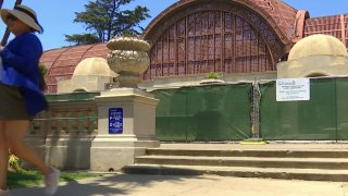 Balboa Park's Botanical Building is undergoing a major restoration.