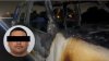 Detienen a presunto líder de bloqueos y quema de carros en Baja California en un hotel en Sinaloa