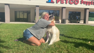 Encinitas woman reunited with her Golden Retriever after she says he was taken after an Amazon driver delivered a package.