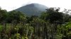Impresionantes imágenes: entra en erupción el volcán de San Miguel en El Salvador