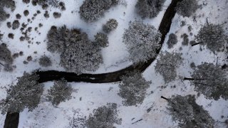 In an aerial view, a single lane road winds through snow covered trees in the the San Gabriel Mountains as a massive storm leaves California.