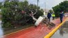 Bomberos: caída de árboles en Tijuana no se debe a explosión