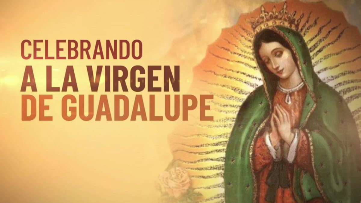 Sandieguinos listos para venerar a la Virgen de Guadalupe – Telemundo San  Diego (20)